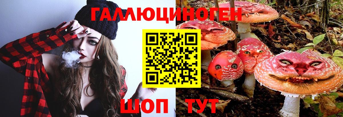 Туймазы  Псилоцибиновые грибы MAGIC MUSHROOMS  Вход с VPN 
