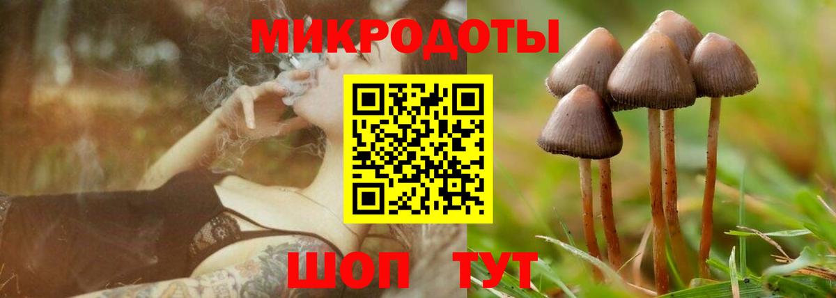 Псилоцибиновые грибы Magic Shrooms Туймазы